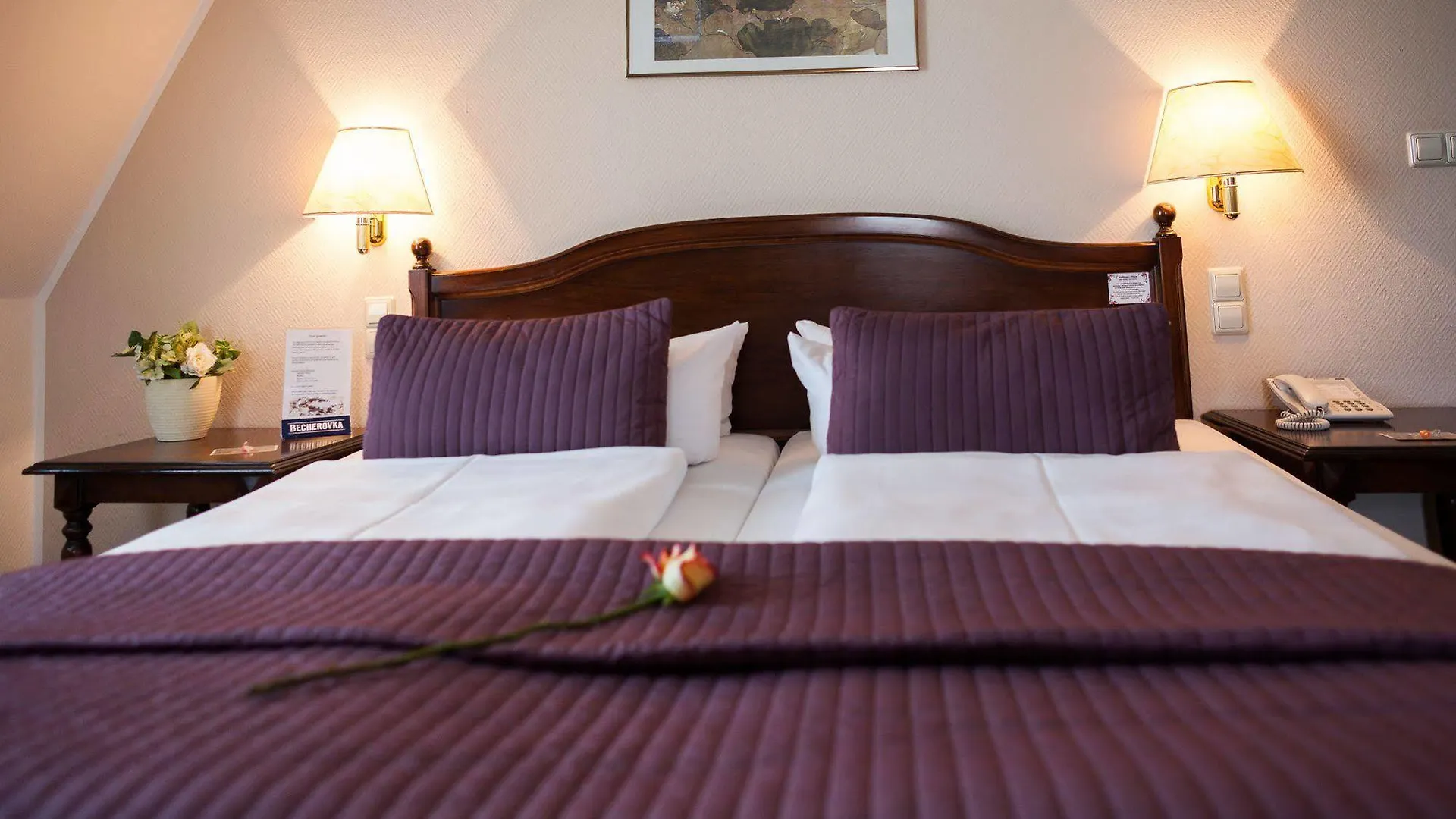 Hotel Smetana Dresden